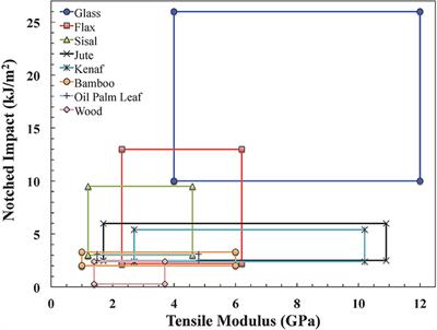 A Review of the Impact Performance of Natural Fiber Thermoplastic Composites
